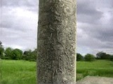 Pasted Graphic 3