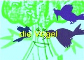 Pasted Graphic 5