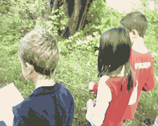 foret02