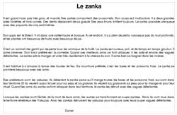 zanka_low